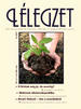 2004. m�jus -- XIV. �vf., 5. sz�m